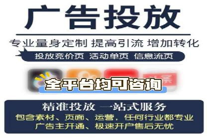 百度推广竞价全解析：某电商平台的营销策略